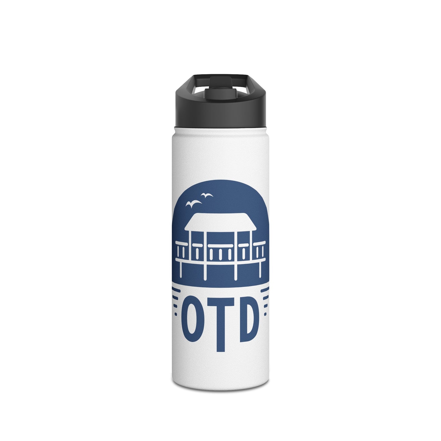 Stainless Steel Water Bottle, Standard Lid