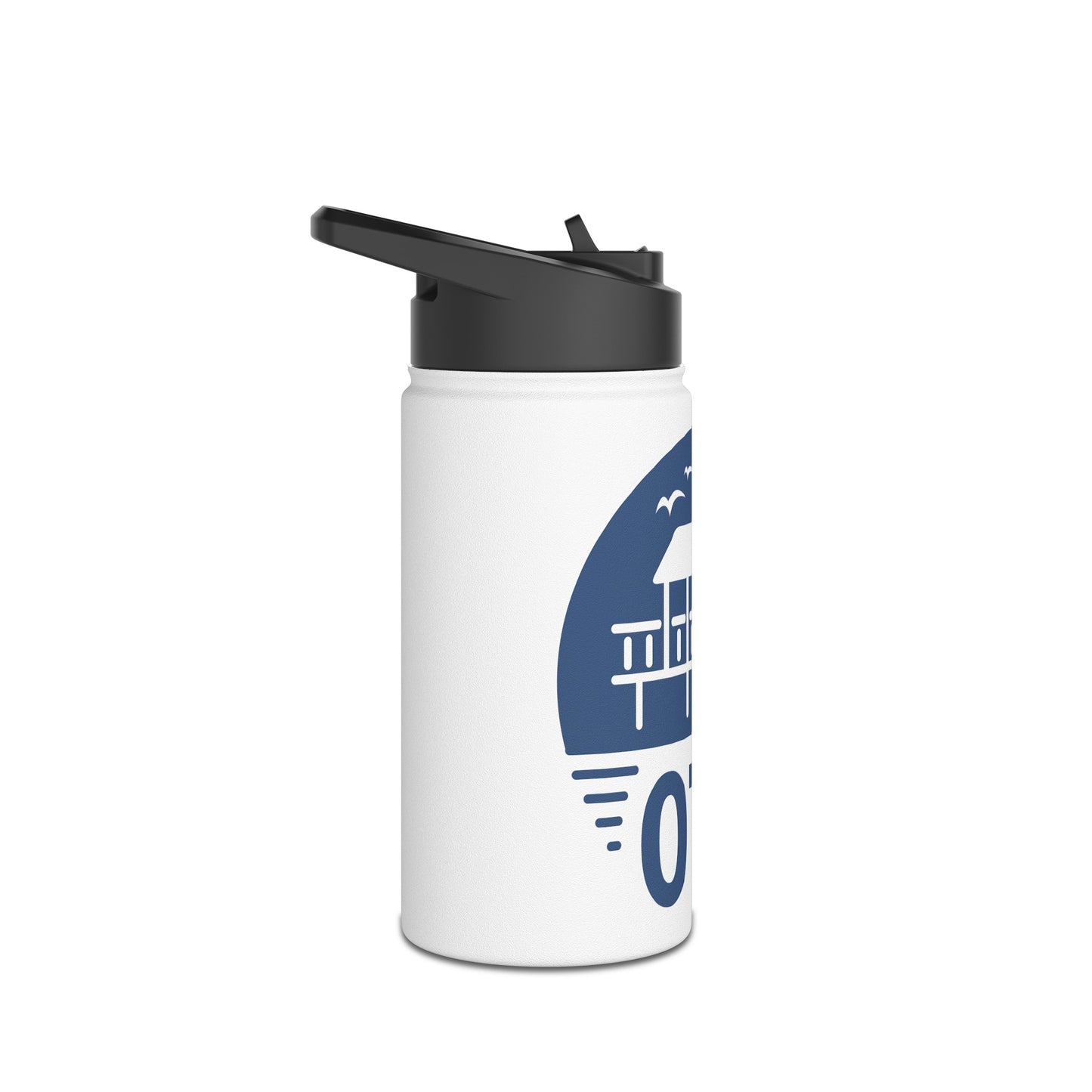 Stainless Steel Water Bottle, Standard Lid